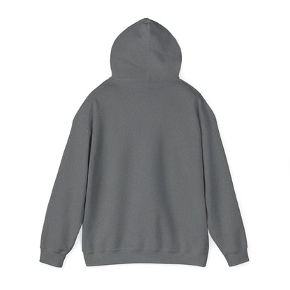 Canton Unisex Heavy Blend™ Hooded Sweatshirt